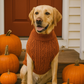 Parisian Pet 'Cable Knit Sweater' - Warm & Stylish Pet Sweater in Terracotta for Dogs & Cats