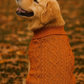 Parisian Pet 'Cable Knit Sweater' - Warm & Stylish Pet Sweater in Terracotta for Dogs & Cats