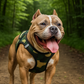 Parisian Pet 'Step-In Harness' for Dogs & Cats – Comfortable Camo Harness, Adjustable Fit for Small & Large Pets, Green
