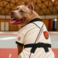 Parisian Pet 'Karate Academy' Halloween Costume for Dogs & Cats – Adorable Martial Arts Dog Costume, Pet Halloween Outfit, White Black and Red