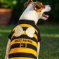 Parisian Pet 'Buzz Patrol Bee' Halloween Costume for Dogs & Cats – Adorable Bee Dog Costume, Pet Halloween Outfit, Yellow and Black