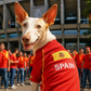 Parisian Pet 'Team Spain' Jersey for Dogs & Cats – Spain Flag-Inspired Pet Outfit, Soccer Fan Apparel for Dogs & Cats, Red and Yellow Stripes