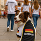 Parisian Pet 'Team Germany' - Jersey, Dog Sports Jersey for Soccer Fans, Germany Flag Dog Shirt for Dogs & Cats, Black