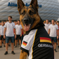 Parisian Pet 'Team Germany' - Jersey, Dog Sports Jersey for Soccer Fans, Germany Flag Dog Shirt for Dogs & Cats, Black