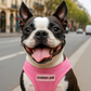 Parisian Pet 'Freedom Harness' for Dogs & Cats – Soft, Lightweight Adjustable Dog Harness in Pink