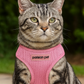 Parisian Pet 'Freedom Harness' for Dogs & Cats – Soft, Lightweight Adjustable Dog Harness in Pink
