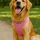 Parisian Pet 'Freedom Harness' for Dogs & Cats – Soft, Lightweight Adjustable Dog Harness in Pink