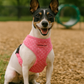 Parisian Pet 'Pink Dot Harness' for Dogs & Cats – Adjustable, Comfortable Pink Polka Dot Dog Harness, Stylish Fit for Small Pets