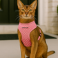 Parisian Pet 'Pink Dot Harness' for Dogs & Cats – Adjustable, Comfortable Pink Polka Dot Dog Harness, Stylish Fit for Small Pets