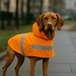 Parisian Pet 'Orange Raincoat' for Dogs & Cats, Waterproof Pet Outerwear, Dog Raincoat for Rain, Pet Rain Protection, Orange