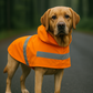 Parisian Pet 'Orange Raincoat' for Dogs & Cats, Waterproof Pet Outerwear, Dog Raincoat for Rain, Pet Rain Protection, Orange
