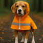 Parisian Pet 'Orange Raincoat' for Dogs & Cats, Waterproof Pet Outerwear, Dog Raincoat for Rain, Pet Rain Protection, Orange