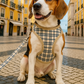 Parisian Pet 'Freedom Harness Khaki Plaid' for Dogs & Cats – Comfortable and Adjustable Dog Harness, Stylish Khaki Plaid Design