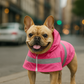 Parisian Pet 'Pink Raincoat' for Dogs & Cats, Waterproof Dog Raincoat, Designer Pet Coat, Pink