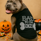 Parisian Pet 'Bad to da Bone' Dog Shirt – Trendy Slogan T-Shirt for Dogs & Cats, Black
