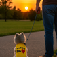 Parisian Pet 'Big Heart' Slogan Dog Shirt – Soft and Breathable Pet Apparel for Small Dogs & Cats, Yellow-Valentine's Day