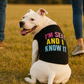 Parisian Pet 'Sexy and I Know It' Dog & Cat Shirt – Humorous Embroidered Novelty Pet Apparel, Comfortable & Stylish – Black