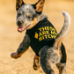Parisian Pet 'These Are My Bitches' Funny Dog Shirt – Comfortable Black T-Shirt for Small Dogs & Cats, Trendy Slogan Apparel