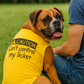 Parisian Pet 'Licker' Novelty Dog Apparel – Fun Embroidered Pet Wear for Dogs & Cats, Yellow