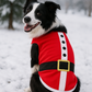 Parisian Pet 'Santa'Dog Shirt - Christmas Pet Apparel for Holiday Cheer, Red