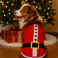 Parisian Pet 'Santa'Dog Shirt - Christmas Pet Apparel for Holiday Cheer, Red