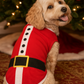 Parisian Pet 'Santa'Dog Shirt - Christmas Pet Apparel for Holiday Cheer, Red