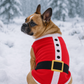 Parisian Pet 'Santa'Dog Shirt - Christmas Pet Apparel for Holiday Cheer, Red