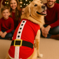 Parisian Pet 'Santa'Dog Shirt - Christmas Pet Apparel for Holiday Cheer, Red