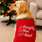 Parisian Pet 'Naughty or Nice' Dog Christmas T-Shirt - Festive Pet Holiday Shirt for Dogs & Cats, Red