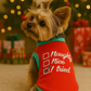 Parisian Pet 'Naughty or Nice' Dog Christmas T-Shirt - Festive Pet Holiday Shirt for Dogs & Cats, Red