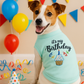 Parisian Pet 'Birthday Boy' Fun Slogan Dog T-Shirt –Premium Embroidered Celebratory Clothing for Dogs & Cats, Blue