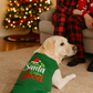 Parisian Pet 'Dear Santa Define Good' Dog Christmas T-Shirt - Festive Pet Shirt for Cats & Dogs, Green