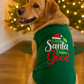 Parisian Pet 'Dear Santa Define Good' Dog Christmas T-Shirt - Festive Pet Shirt for Cats & Dogs, Green