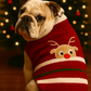 Parisian Pet 'Reindeer Sweater' for Dogs – Stylish & Cozy Christmas Sweater, Red