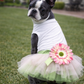 Parisian Pet 'Sunflower Dress' for Dogs and Cats, Designer Sleeveless, Summer Pet Apparel, Green