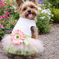 Parisian Pet 'Sunflower Dress' for Dogs and Cats, Designer Sleeveless, Summer Pet Apparel, Green