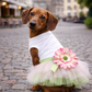 Parisian Pet 'Sunflower Dress' for Dogs and Cats, Designer Sleeveless, Summer Pet Apparel, Green