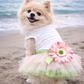 Parisian Pet 'Sunflower Dress' for Dogs and Cats, Designer Sleeveless, Summer Pet Apparel, Green