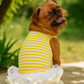 Parisian Pet 'Ballerina Dress' for Dogs and Cats, Comfortable Sleeveless, Yellow with White Stripes