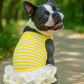 Parisian Pet 'Ballerina Dress' for Dogs and Cats, Comfortable Sleeveless, Yellow with White Stripes