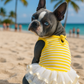 Parisian Pet 'Ballerina Dress' for Dogs and Cats, Comfortable Sleeveless, Yellow with White Stripes