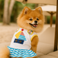 Parisian Pet 'Boat Dress' for Dogs and Cats, Designer Dog Dress, Tropical Apparel, Yellow Blue Red White