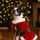 Parisian Pet 'Mrs. Claus Dress' Dog & Cat Shirt – Holiday Pet Dress, Perfect for Christmas – Red