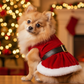 Parisian Pet 'Mrs. Claus Dress' Dog & Cat Shirt – Holiday Pet Dress, Perfect for Christmas – Red