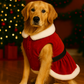 Parisian Pet 'Mrs. Claus Dress' Dog & Cat Shirt – Holiday Pet Dress, Perfect for Christmas – Red