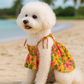 Parisian Pet 'Hawaiian Dress' Dog & Cat Shirt – Island-Themed Vacation Pet Apparel – Orange