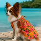 Parisian Pet 'Hawaiian Dress' Dog & Cat Shirt – Island-Themed Vacation Pet Apparel – Orange