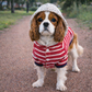 Parisian Pet 'Striped Pom Pom Hoodie', Red – Soft & Fashionable Pet Hoodie with Playful Pom Pom Design