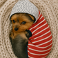 Parisian Pet 'Striped Pom Pom Hoodie', Red – Soft & Fashionable Pet Hoodie with Playful Pom Pom Design