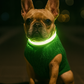 Parisian Pet 'Cable Knit Sweater' - Warm & Stylish Pet Sweater in Green for Dogs & Cats